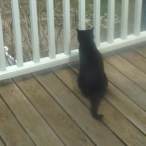 Meet your Posher, Patty